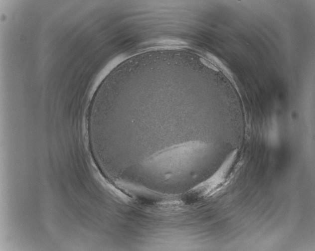 X0000072941243200607211054