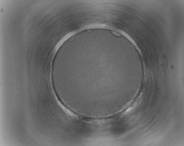 X0000072941245200607211054