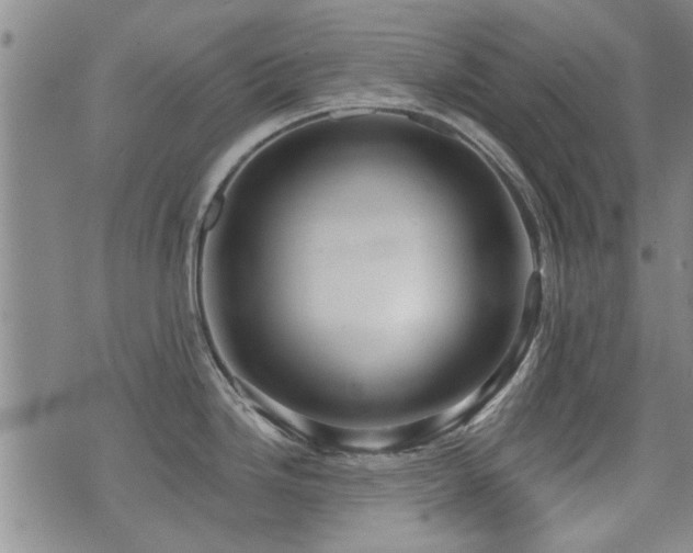 X0000072941246200607211054