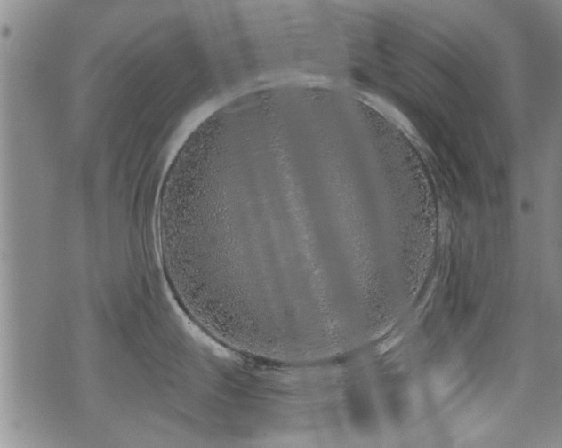 X0000072941247200607211054