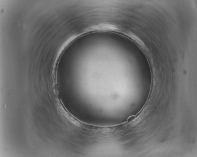 X0000072941248200607211054