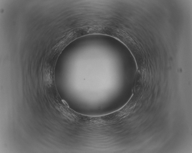 X0000072941250200607211053