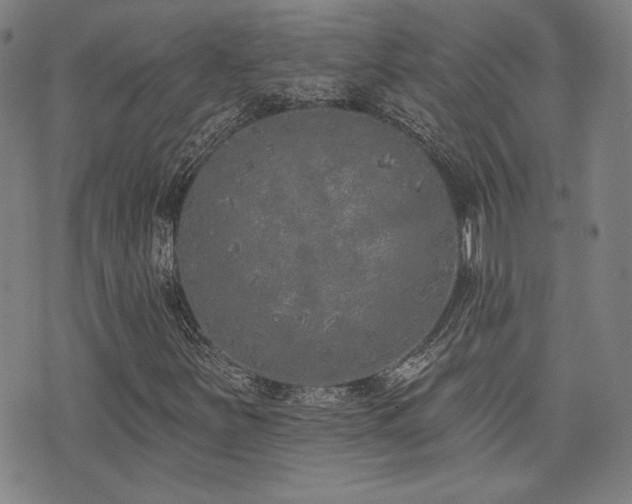 X0000072941251200607211053