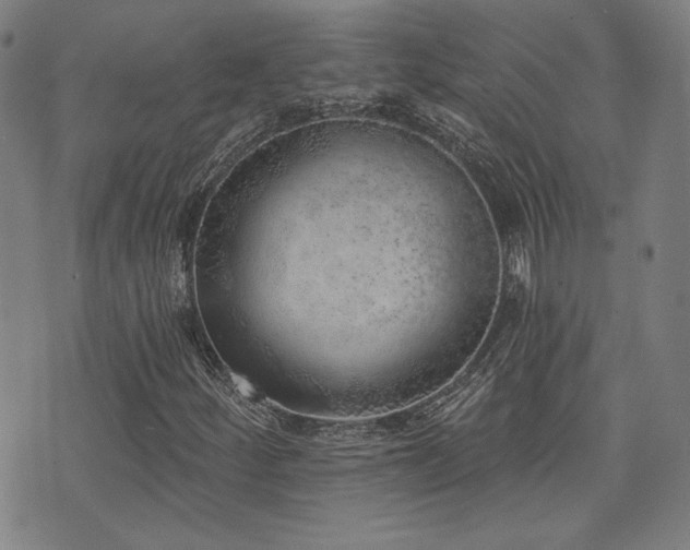 X0000072941252200607211053