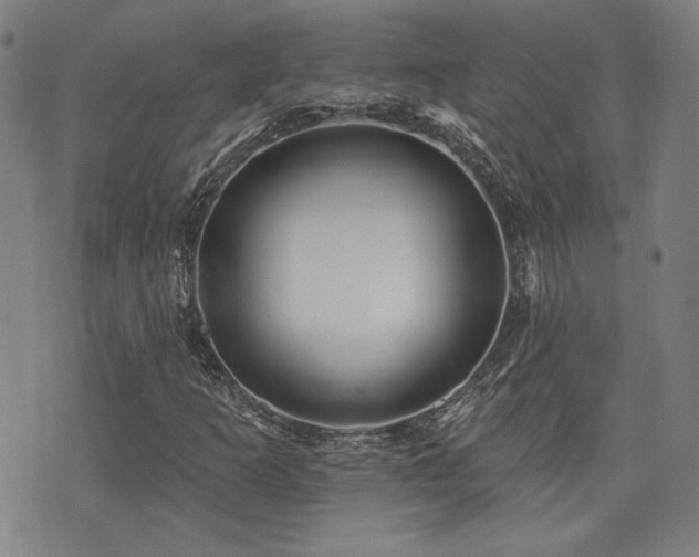 X0000072941253200607211053