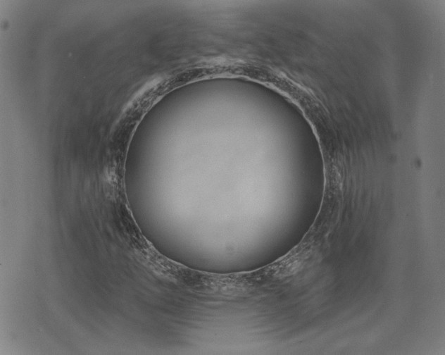 X0000072941254200607211053