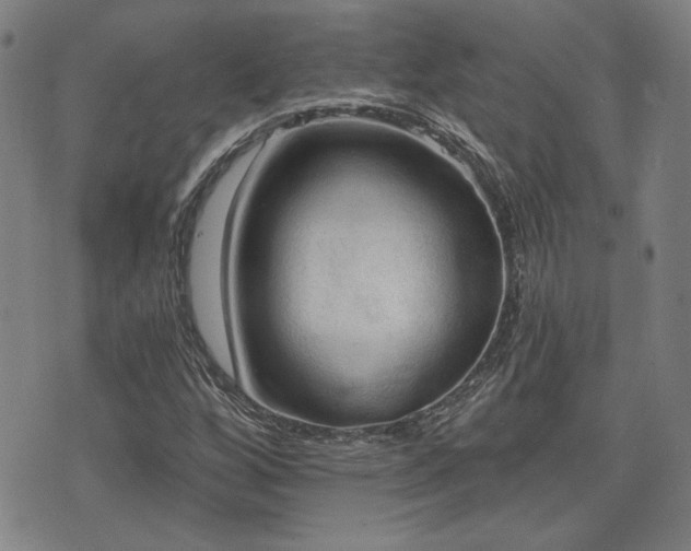 X0000072941256200607211053