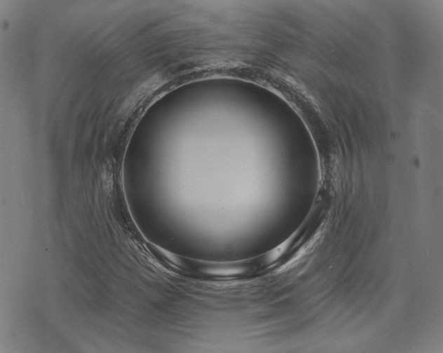 X0000072941257200607211053