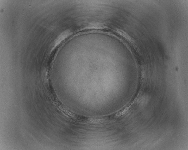 X0000072941258200607211053