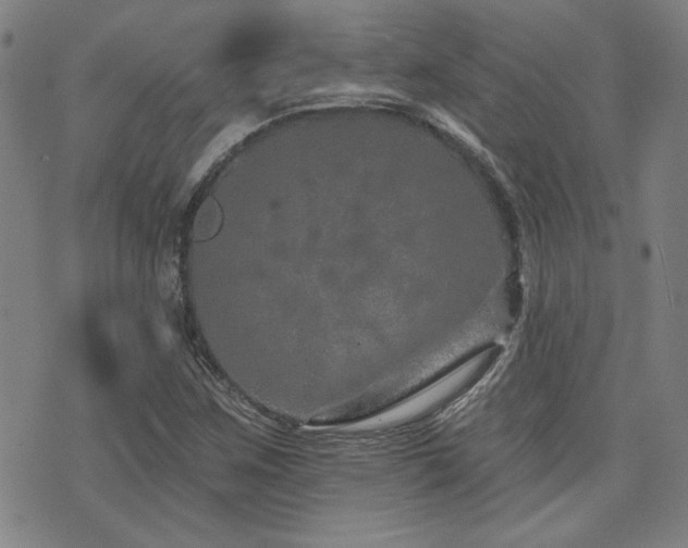 X0000072941259200607211053