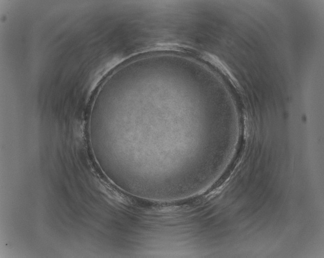 X0000072941260200607211053