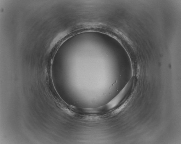 X0000072941261200607211053