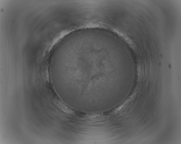 X0000072941262200607211053