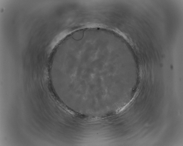 X0000072941263200607211053