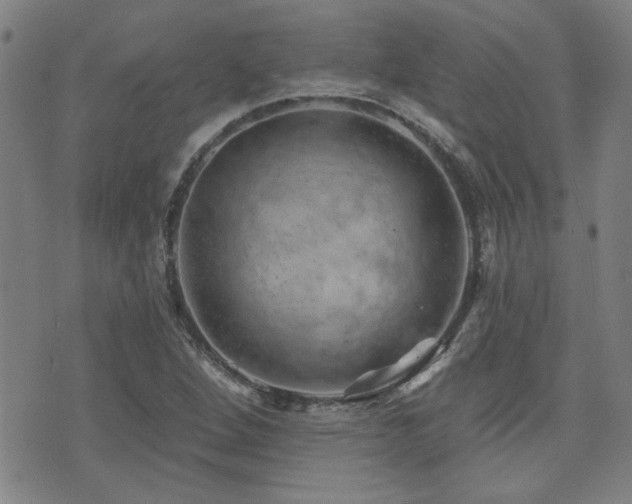 X0000072941264200607211053