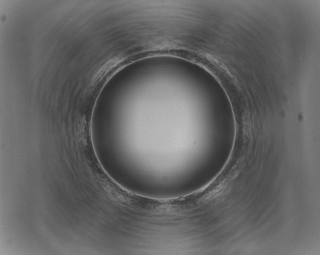 X0000072941265200607211053