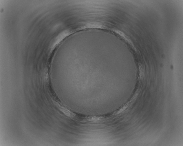 X0000072941266200607211053