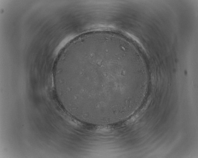 X0000072941267200607211052