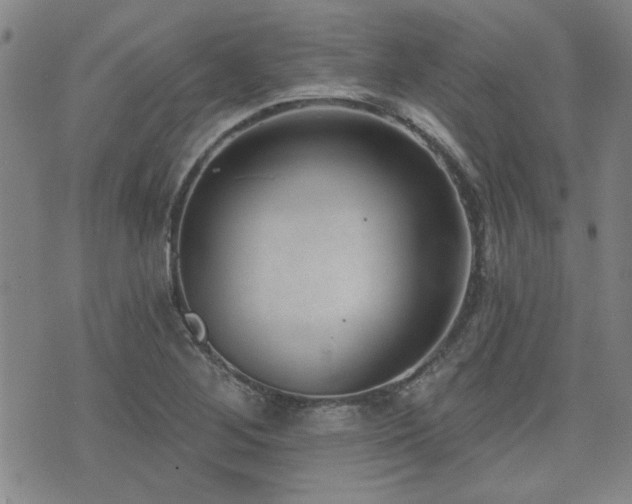 X0000072941268200607211052