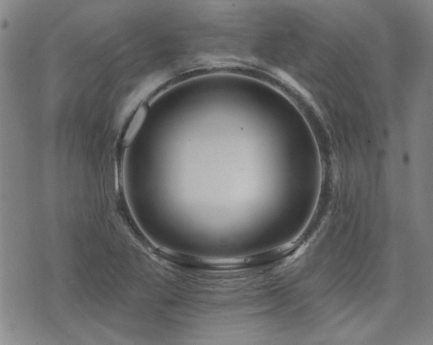 X0000072941269200607211052