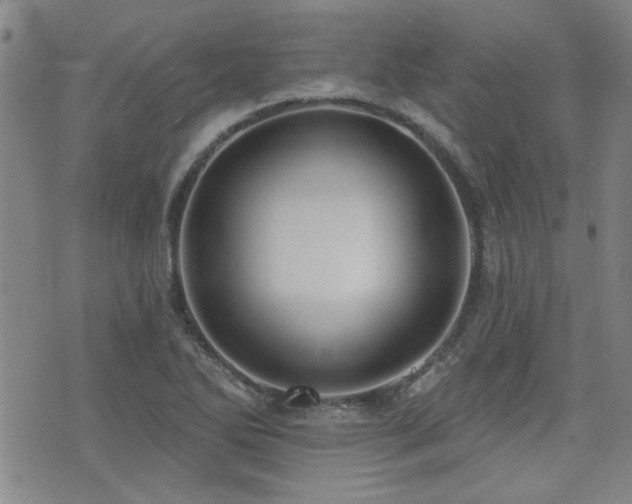 X0000072941270200607211052