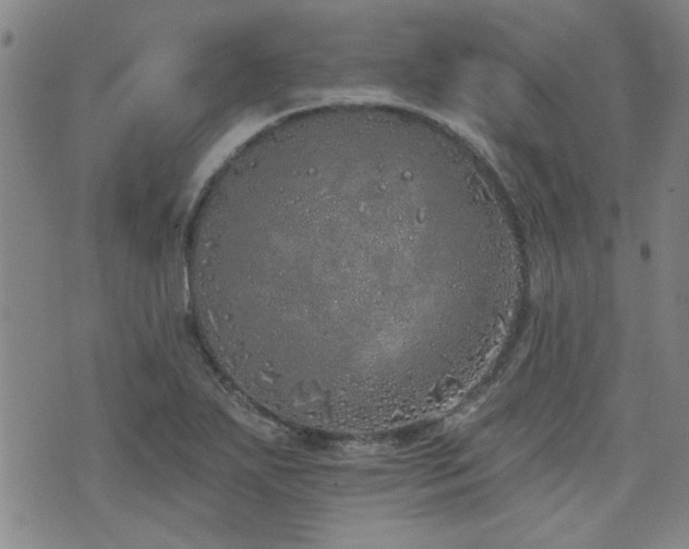 X0000072941271200607211052