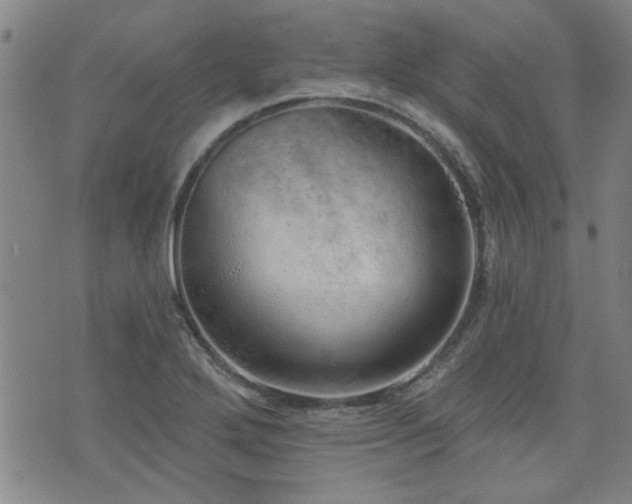 X0000072941272200607211052