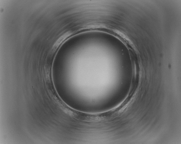 X0000072941273200607211052