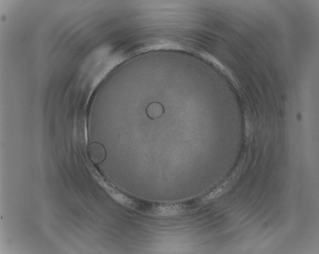 X0000072941274200607211052