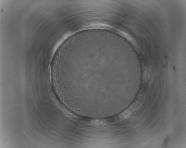 X0000072941275200607211052