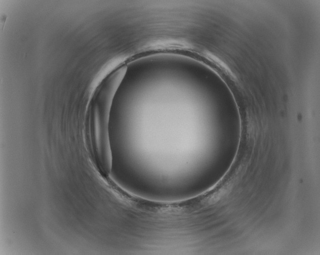 X0000072941277200607211052