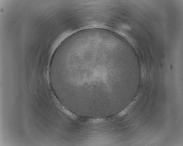 X0000072941278200607211052