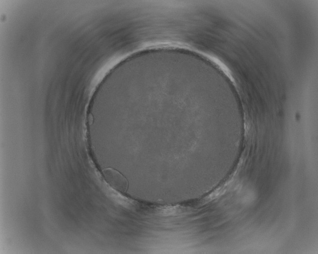 X0000072941279200607211052