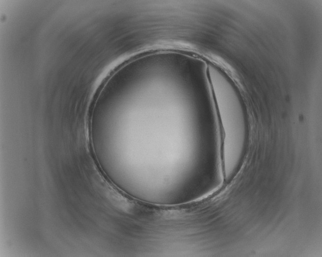 X0000072941280200607211052