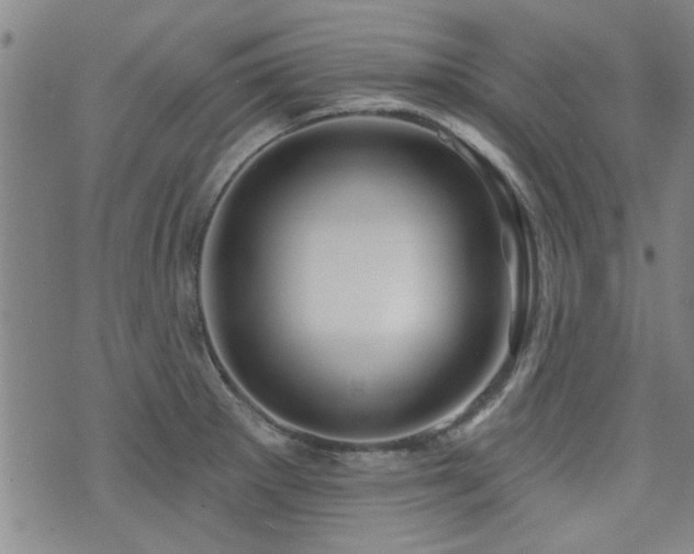 X0000072941281200607211052