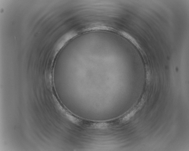 X0000072941282200607211052