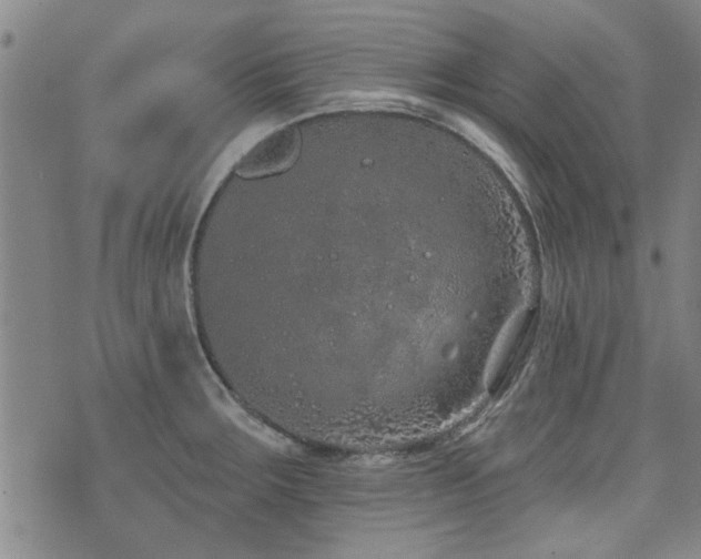 X0000072941283200607211052