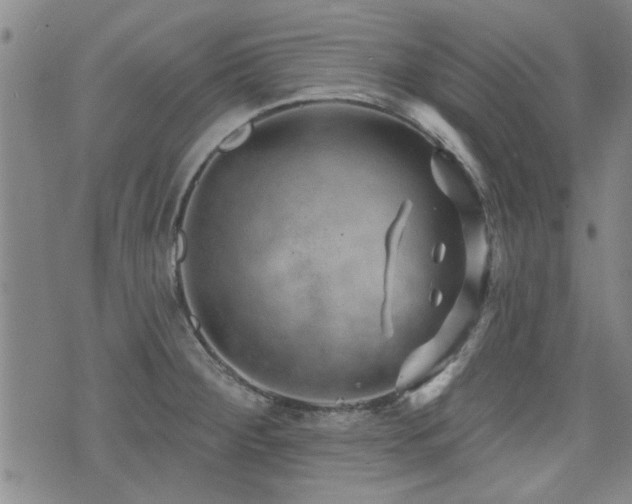 X0000072941284200607211052