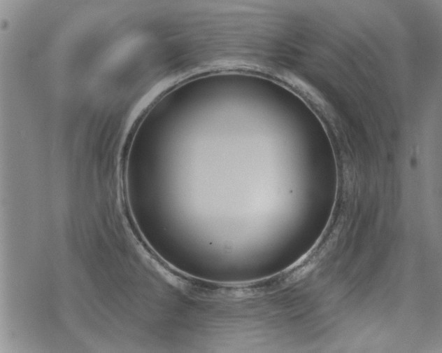 X0000072941286200607211052