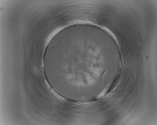 X0000072941287200607211052