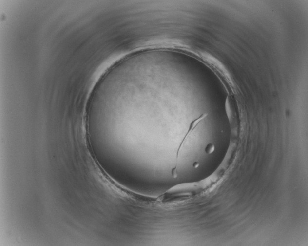 X0000072941288200607211052