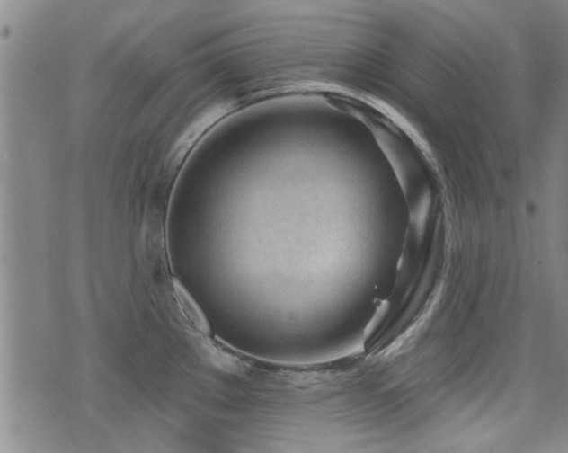 X0000072941289200607211052