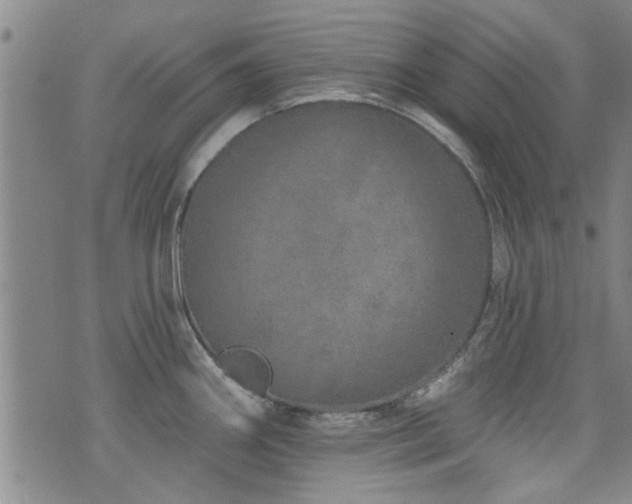 X0000072941290200607211052