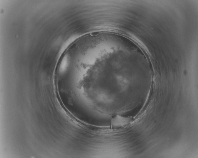 X0000072941291200607211052