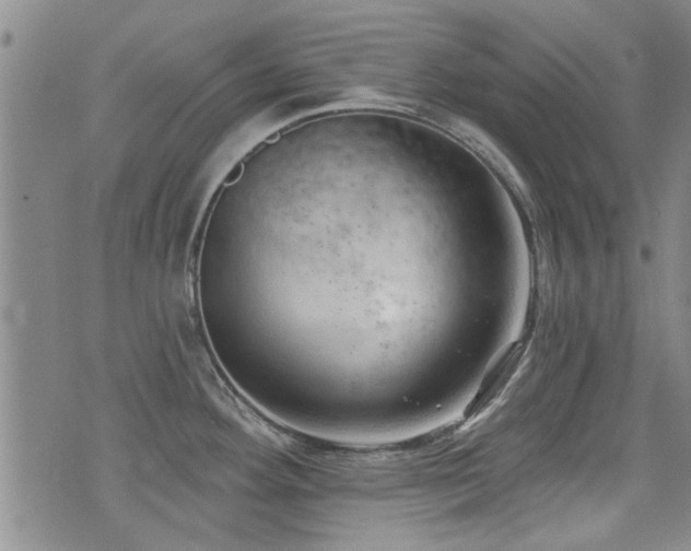 X0000072941292200607211052