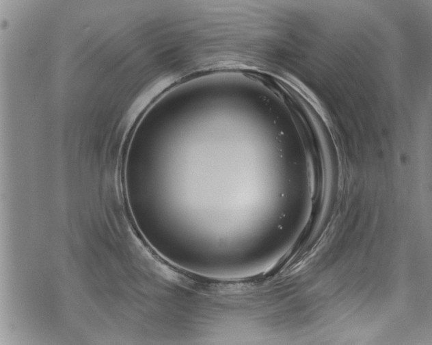 X0000072941293200607211052