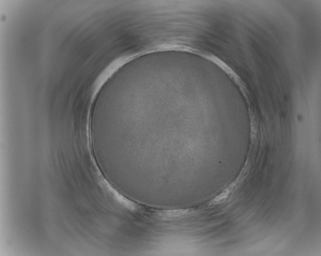 X0000072941294200607211052