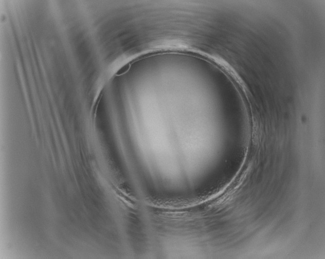 X0000072941295200607211052