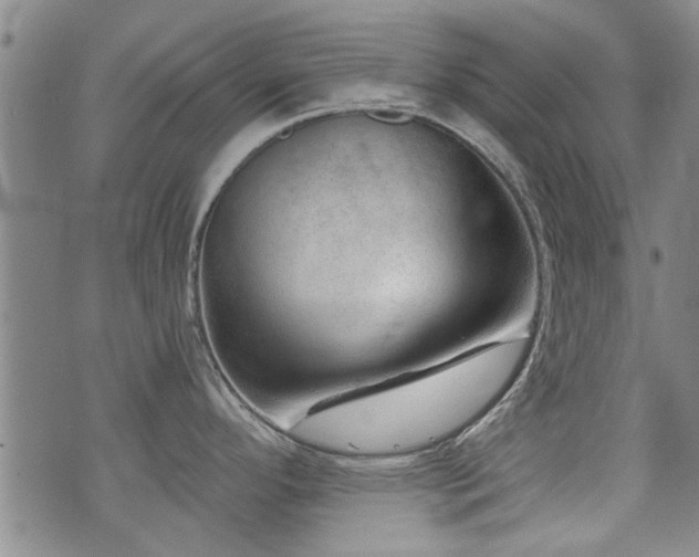 X0000072941296200607211052