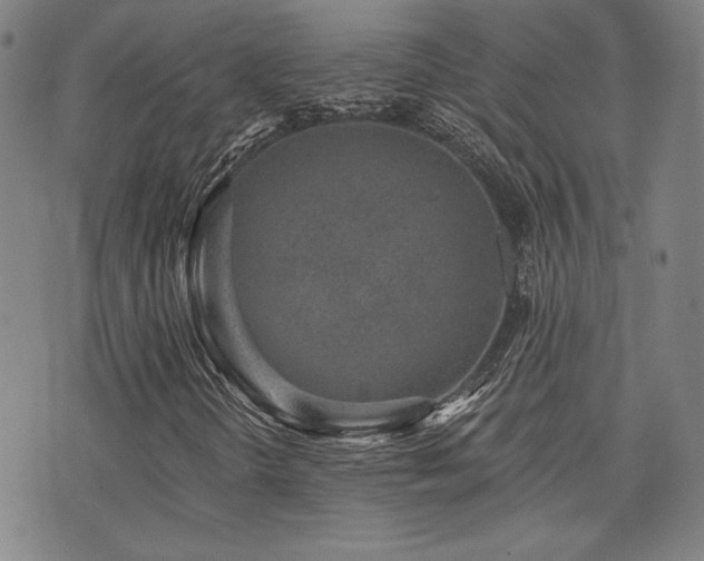 X0000072941298200607211051